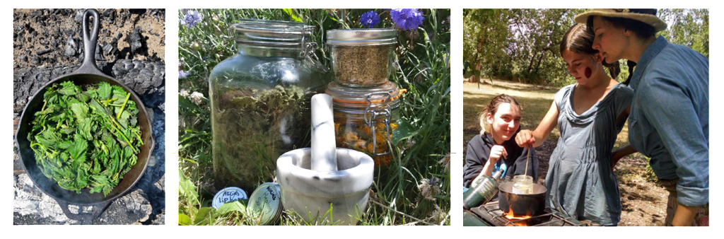 Afterschool Herbalism | Rewild Portland